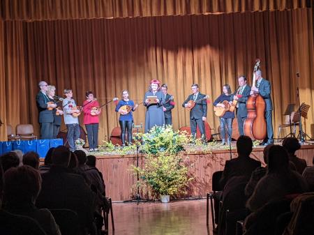 Festival tamburaških skupin 41